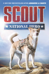 Scout: National Hero - 8 May 2018
