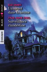 Un secret dans la brume - Surveillance clandestine - 1 Dec 2017