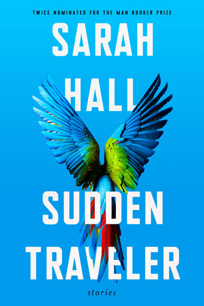Sudden Traveler