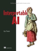 Interpretable AI - 26 Jul 2022