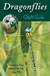 Dragonflies: Q&A Guide - 1 Sep 2014