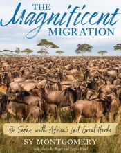 The Magnificent Migration - 11 Jun 2019