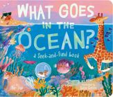 What Goes in the Ocean? - 21 May 2024