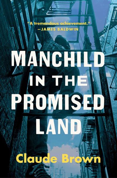 Manchild in the Promised Land