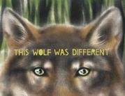 This Wolf Was Different - 5 Mar 2024