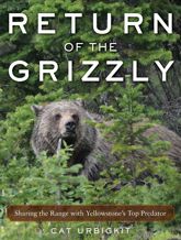 Return of the Grizzly - 1 Jan 2019