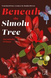 Beneath the Simolu Tree - 16 Jan 2024