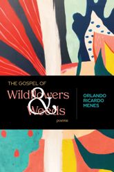 The Gospel of Wildflowers and Weeds - 15 Aug 2022