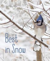 Best in Snow - 11 Oct 2016