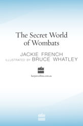 The Secret World Of Wombats - 1 May 2010