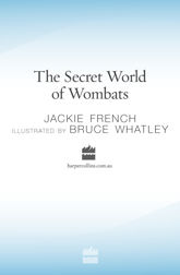 The Secret World Of Wombats - 1 May 2010