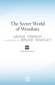 The Secret World Of Wombats - 1 May 2010