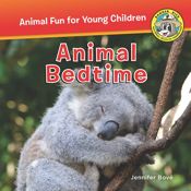 Animal Bedtime - 1 Jul 2017