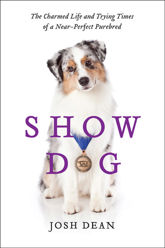 Show Dog - 7 Feb 2012