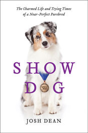 Show Dog - 7 Feb 2012