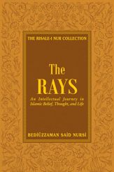 Rays - 16 Oct 2010