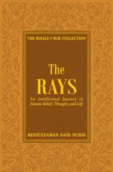 Rays - 16 Oct 2010