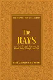 Rays - 16 Oct 2010