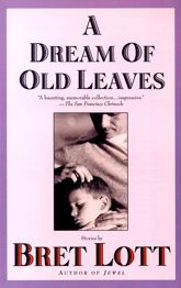 A Dream of Old Leaves - 15 Nov 2011