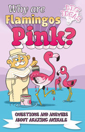Why Are Flamingos Pink? - 1 Sep 2022