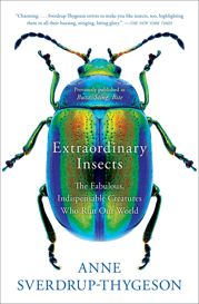 Extraordinary Insects - 2 Jul 2019