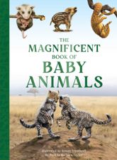 The Magnificent Book of Baby Animals - 15 Oct 2024