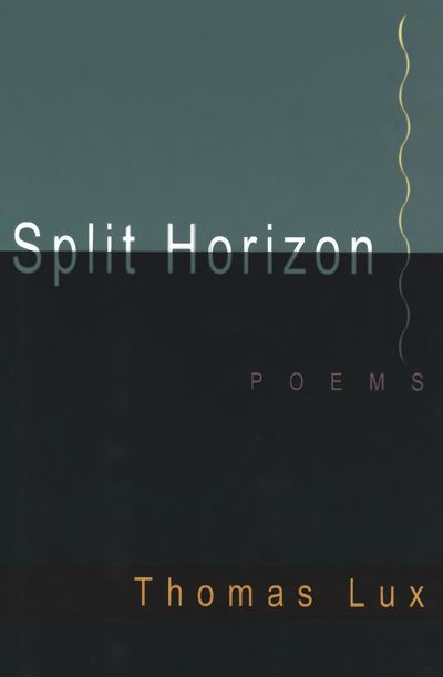 Split Horizon