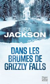 Dans les brumes de Grizzly Falls - 1 Feb 2017
