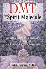 DMT: The Spirit Molecule - 1 Dec 2000