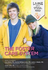 The Foster Care System - 3 Feb 2015