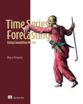 Time Series Forecasting Using Foundation Models - 16 Dec 2025