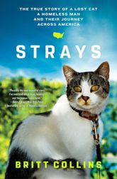 Strays - 18 Jul 2017