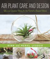 Air Plant Care and Design - 16 Aug 2016