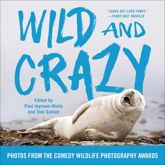 Wild and Crazy - 31 Oct 2017