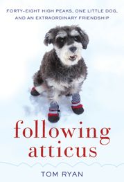 Following Atticus - 20 Sep 2011