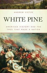 White Pine - 15 Oct 2017