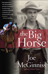 The Big Horse - 15 Jun 2010