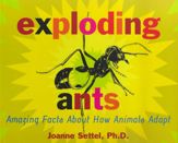 Exploding Ants - 8 Apr 2014