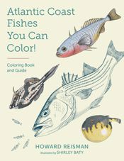 Atlantic Coast Fishes You Can Color! - 1 Jun 2022
