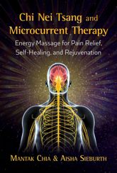 Chi Nei Tsang and Microcurrent Therapy - 14 Aug 2018