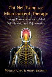 Chi Nei Tsang and Microcurrent Therapy - 14 Aug 2018
