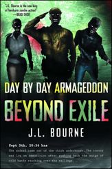 Beyond Exile: Day by Day Armageddon - 13 Jul 2010