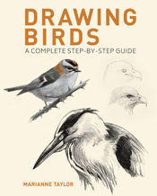 Drawing Birds - 1 Nov 2023