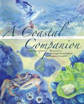 Coastal Companion - 15 Aug 2023