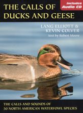 Calls of Ducks & Geese - 21 Aug 2008