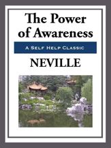 The Power of Awareness - 8 Apr 2013