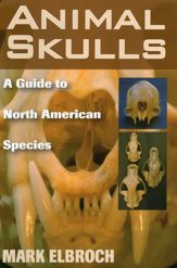 Animal Skulls - 21 Nov 2006