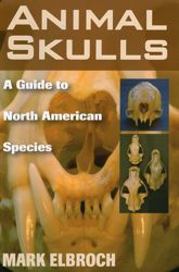 Animal Skulls - 21 Nov 2006
