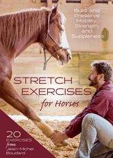 Stretch Exercises for Horses - 23 Aug 2022