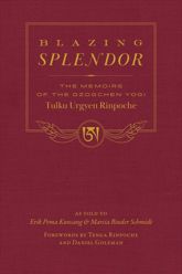 Blazing Splendor - 8 Oct 2024